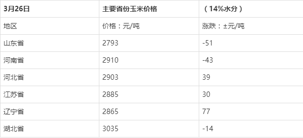 今日玉米价格走势分析，最新动态与趋势展望