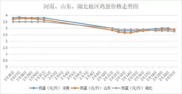 鸡蛋价格动态，最新消息、影响因素与未来趋势深度解析