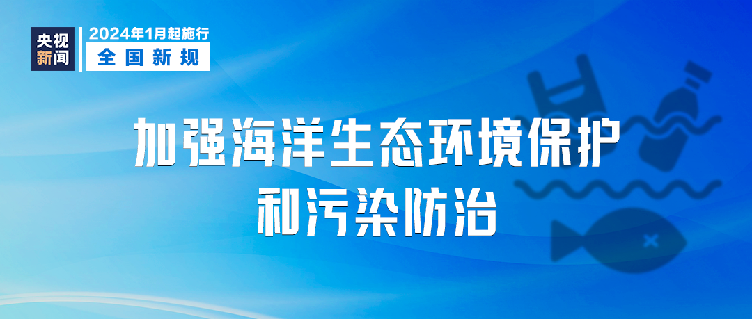 新澳2024资料大全免费,专业问题执行_X版42.837