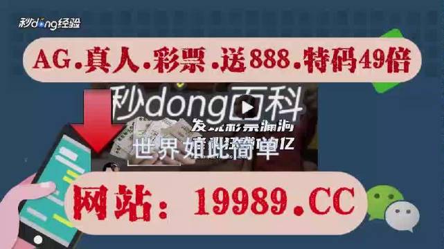 2024年澳门天天开好彩最新版,动态解释词汇_DP61.897