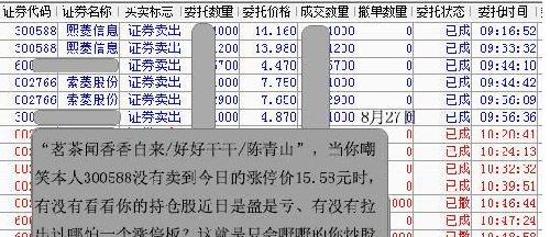 2024澳门码今晚开奖结果,深入应用数据执行_进阶款15.768