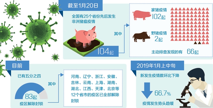 猪瘟疫情全球防控形势及应对策略最新消息