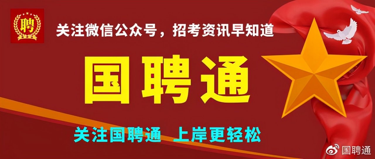 安康招聘网最新招聘动态深度解读报告