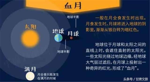 2024年澳门六今晚开奖结果,快速响应执行方案_Galaxy82.259