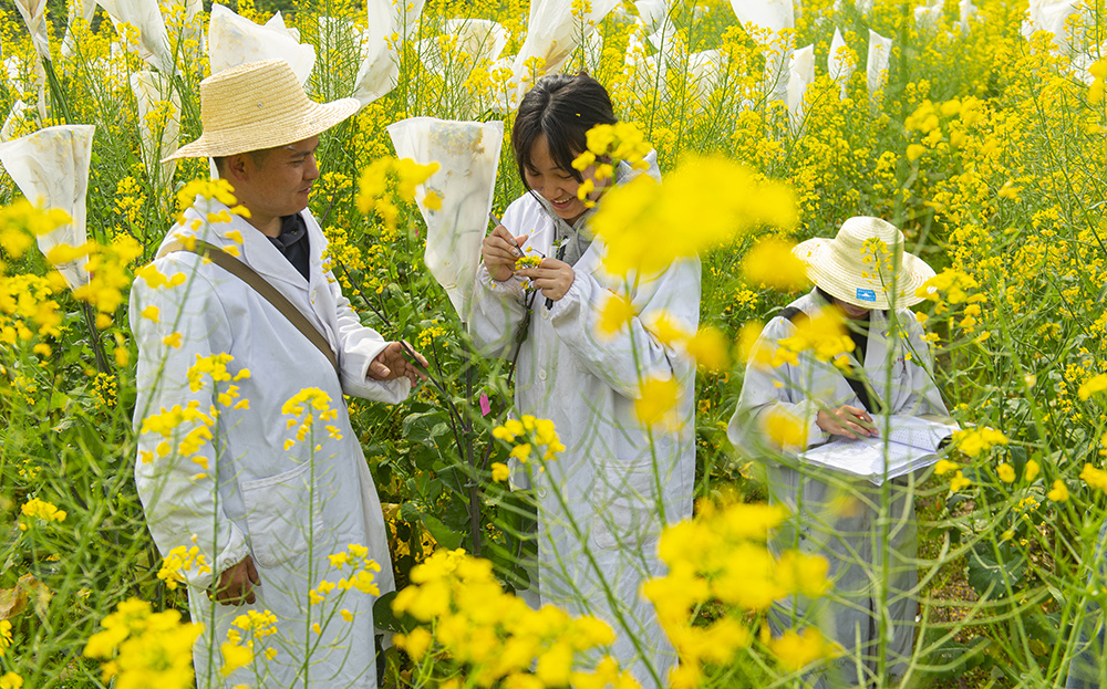 新奥彩2024最新资料大全,权威分析解释定义_顶级版49.410