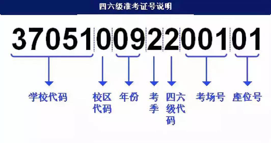 澳门4949开奖结果最快,可靠计划执行策略_BT97.892