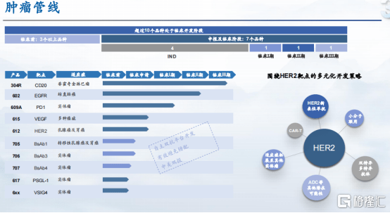 新澳门内部资料精准大全百晓生,全面数据分析方案_Console98.508