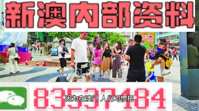 2024新澳精准资料大全,全面解读说明_特供款29.506