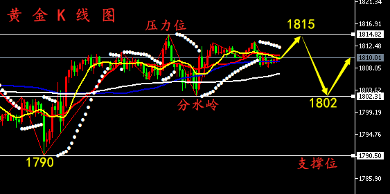 原油黄金走势最新动态解析，市场动态深度洞察报告