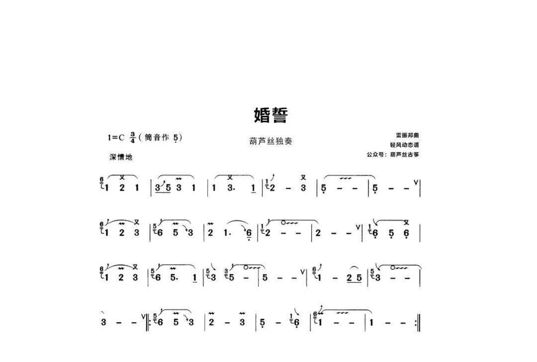 传统与现代完美融合，葫芦丝最新曲亮相！