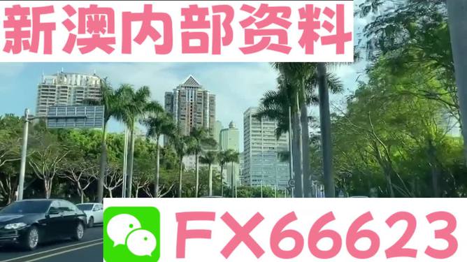 新澳精准资料大全免费,专业执行解答_AP21.945