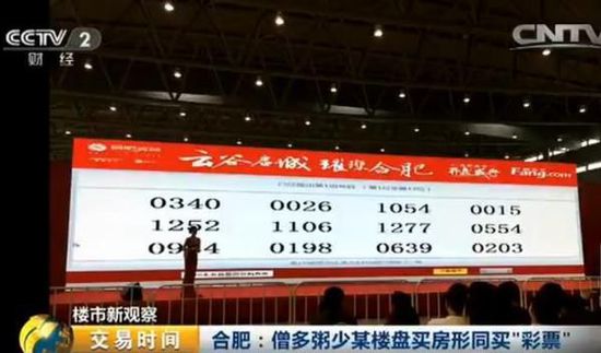 新澳天天开奖资料大全,现状解答解释定义_开发版137.19