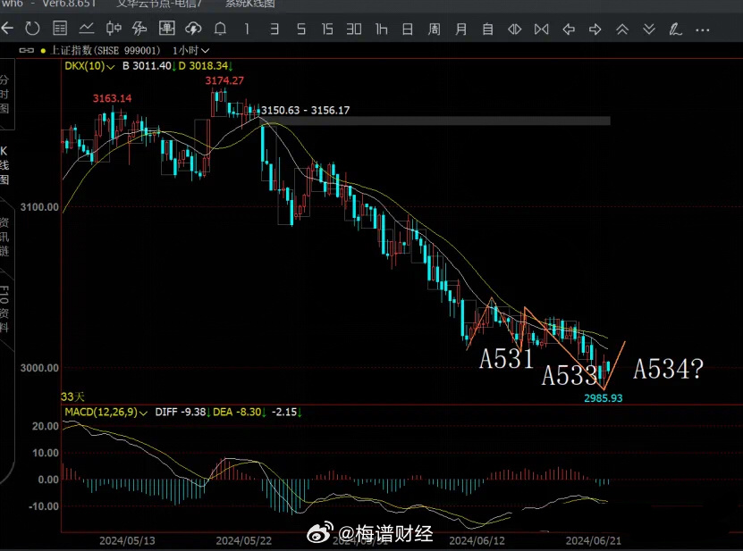 澳门今晚一肖必中特,仿真实现方案_KP28.534