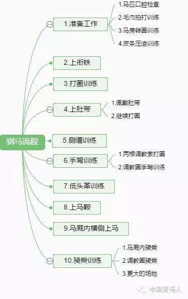 2024澳门特马今晚开奖的背景故事,科学解答解释定义_特别款25.723