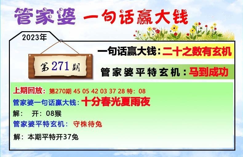 管家婆必开一肖一码,系统解答解释落实_定制版38.873