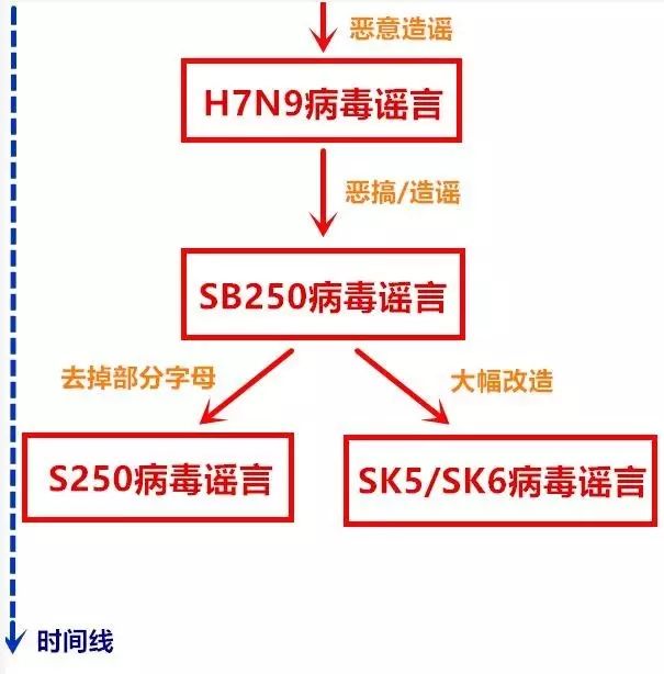 厦门SK5病毒最新动态，疫情现状全面解析及应对措施报告