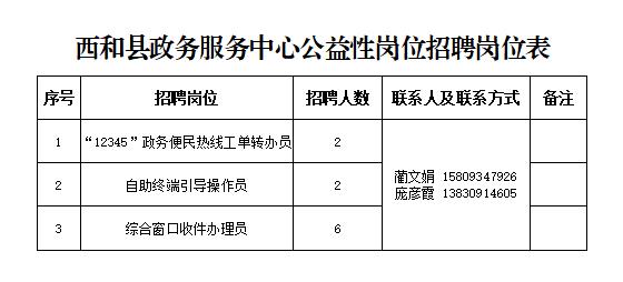 潞西市数据和政务服务局招聘公告详解