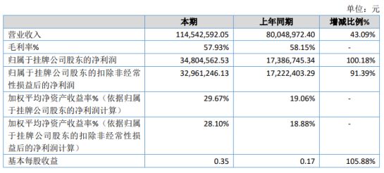 五河县数据和政务服务局最新项目进展报告，最新动态与成果概览