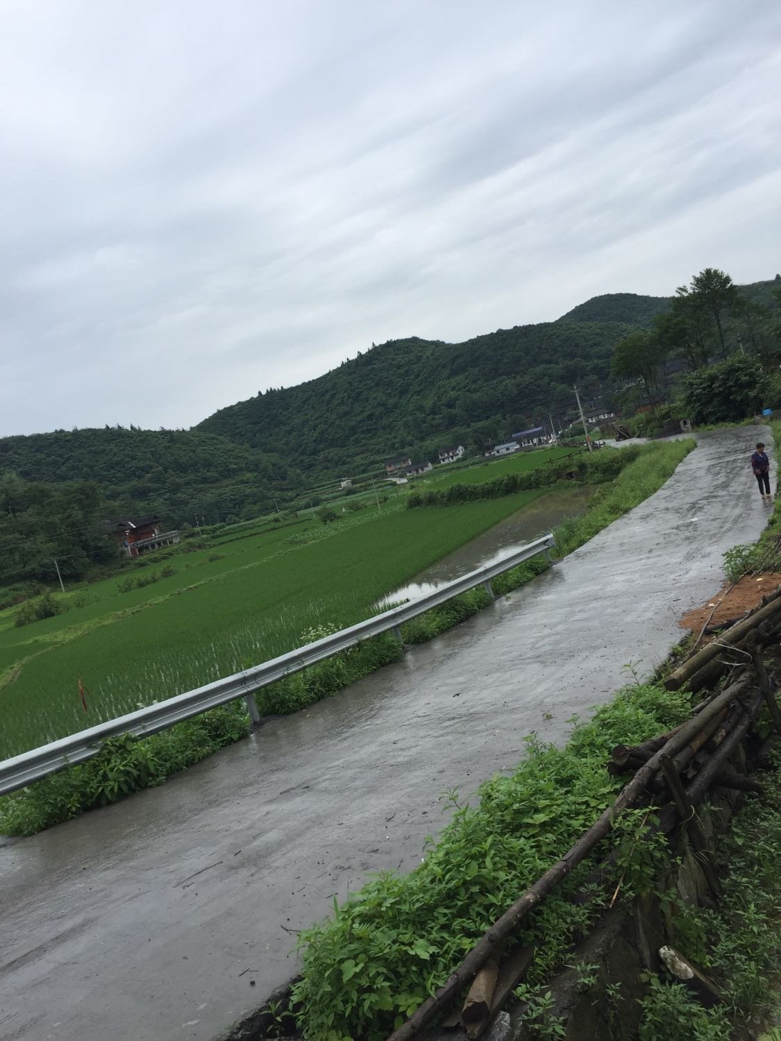 石羊村委会天气预报详解及最新动态