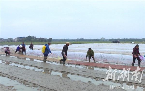 青山桥镇新项目，引领地方发展的强大动力源泉