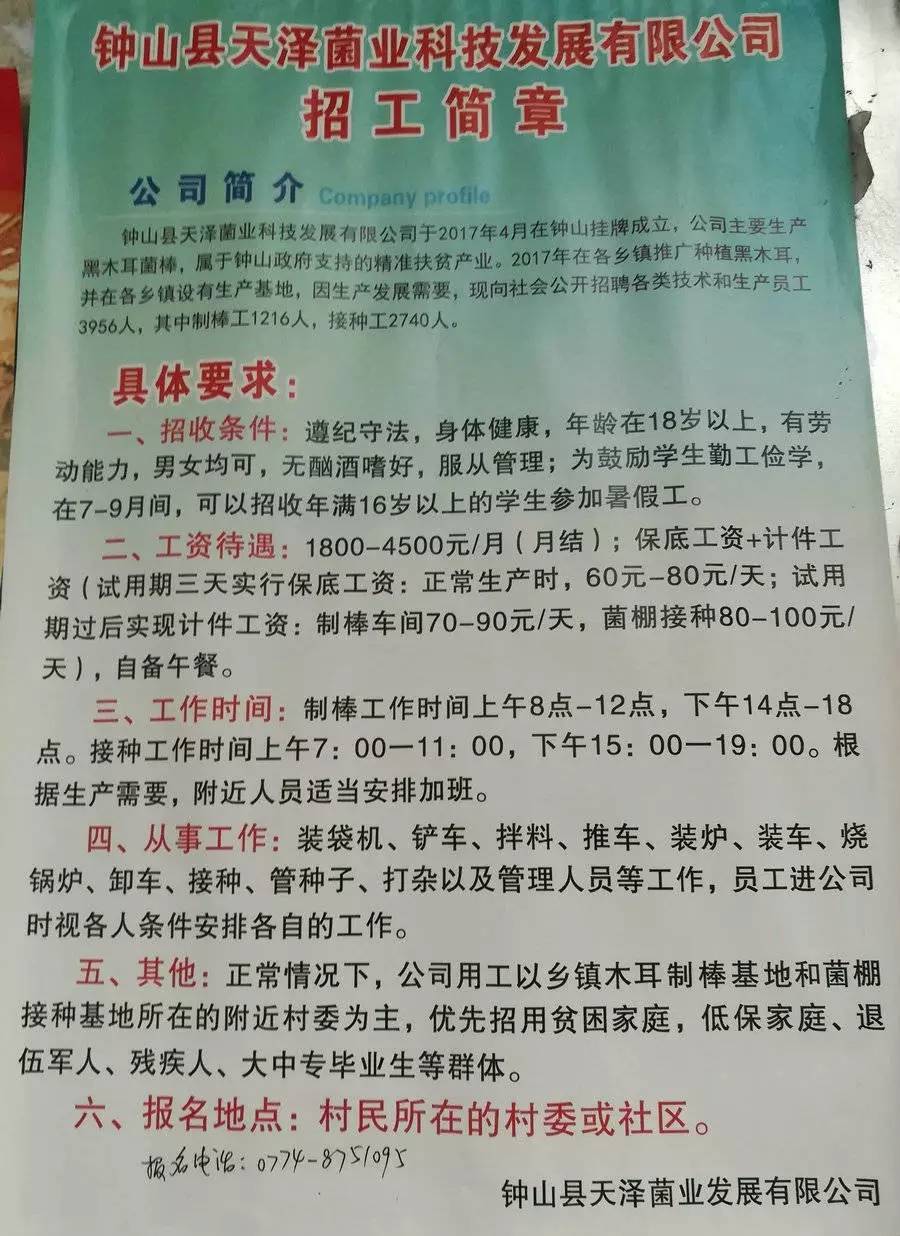 水稻乡最新招聘信息概览