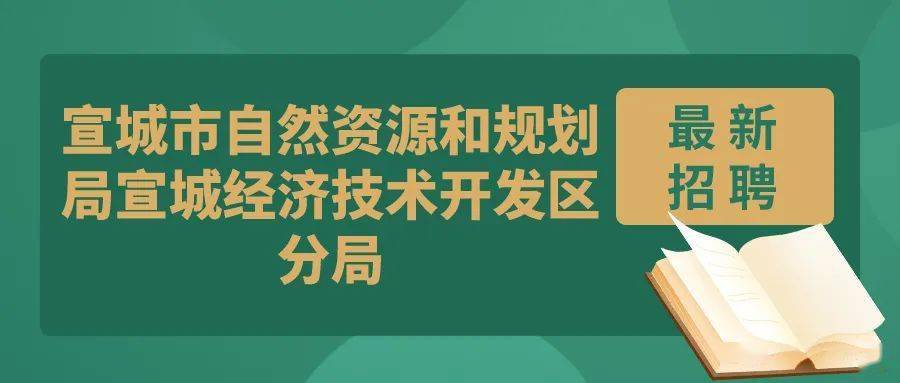 雷州市自然资源和规划局最新招聘公告概览