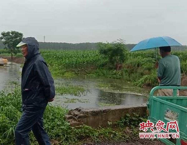 万金店乡天气预报更新通知