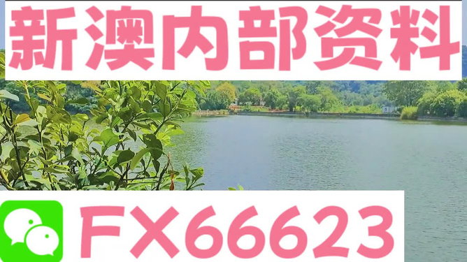 新澳资料最准的网站,诠释分析定义_XP14.985