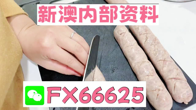 新澳好彩精准资料大全免费,动态评估说明_suite69.306