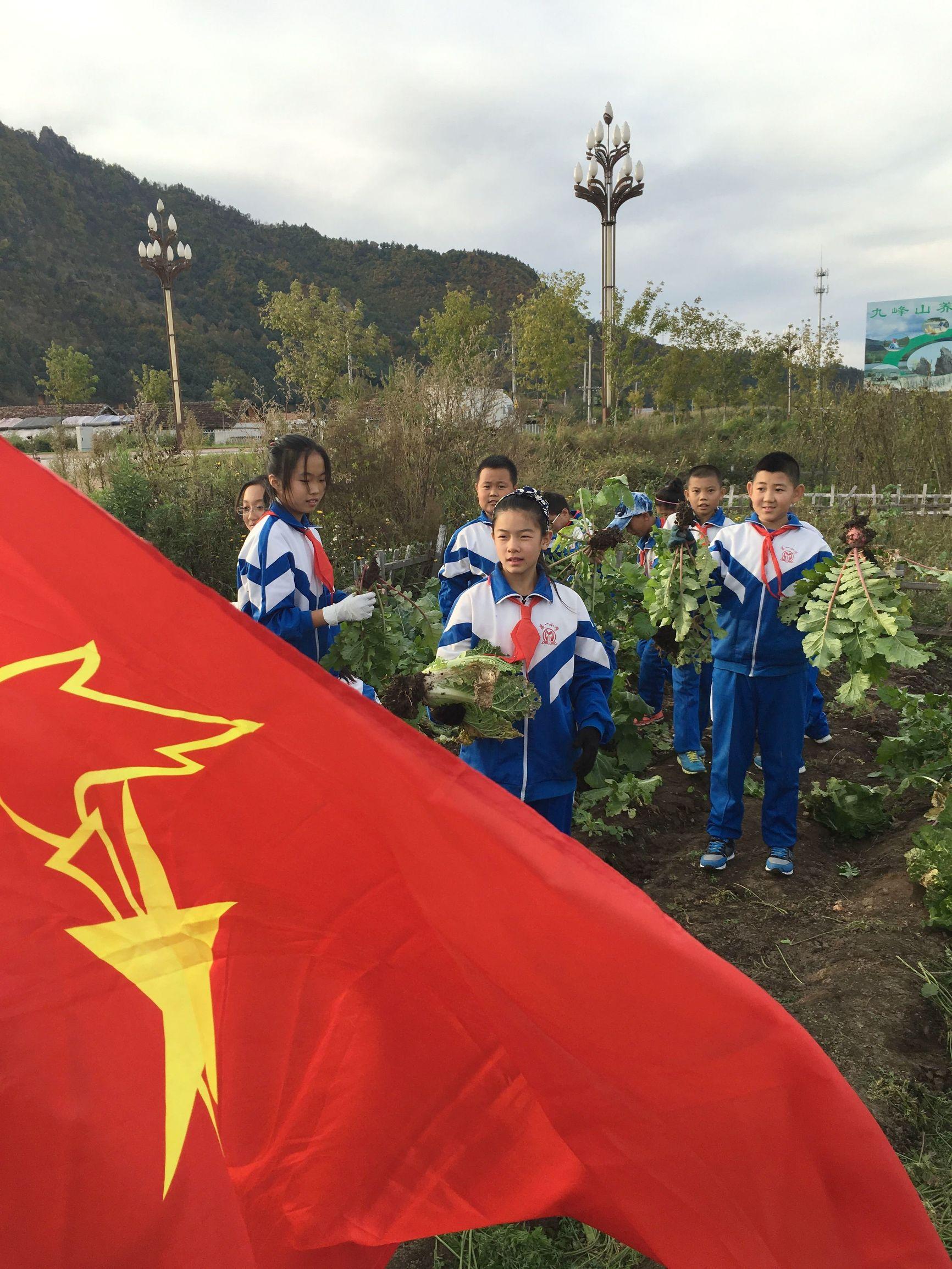 金山屯区小学未来发展规划展望