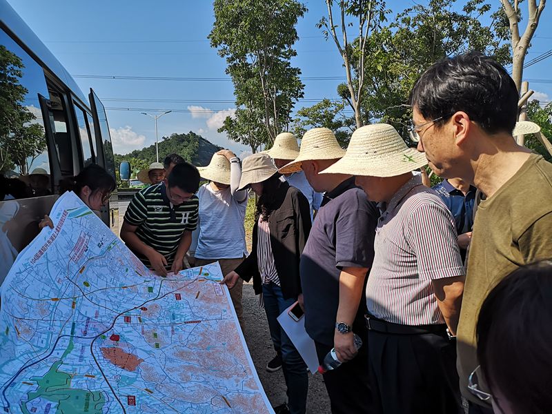 鱼鹤村交通优化升级助力乡村振兴最新报道