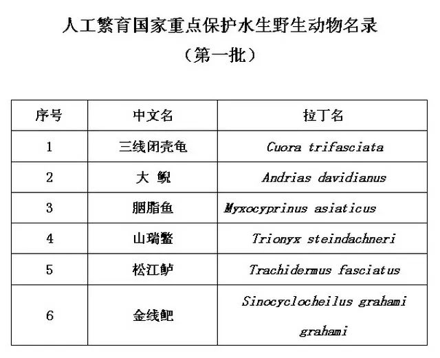 新澳好彩免费资料查询最新,科学数据评估_精装版99.362