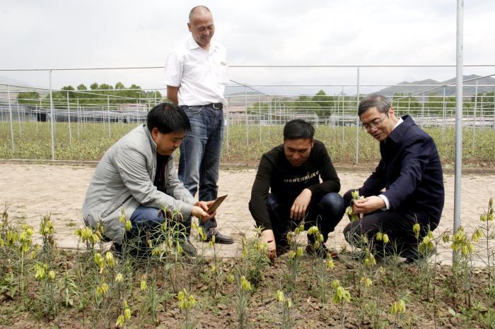 澳门正版免费资料大全新闻,动态词语解释落实_顶级版17.818