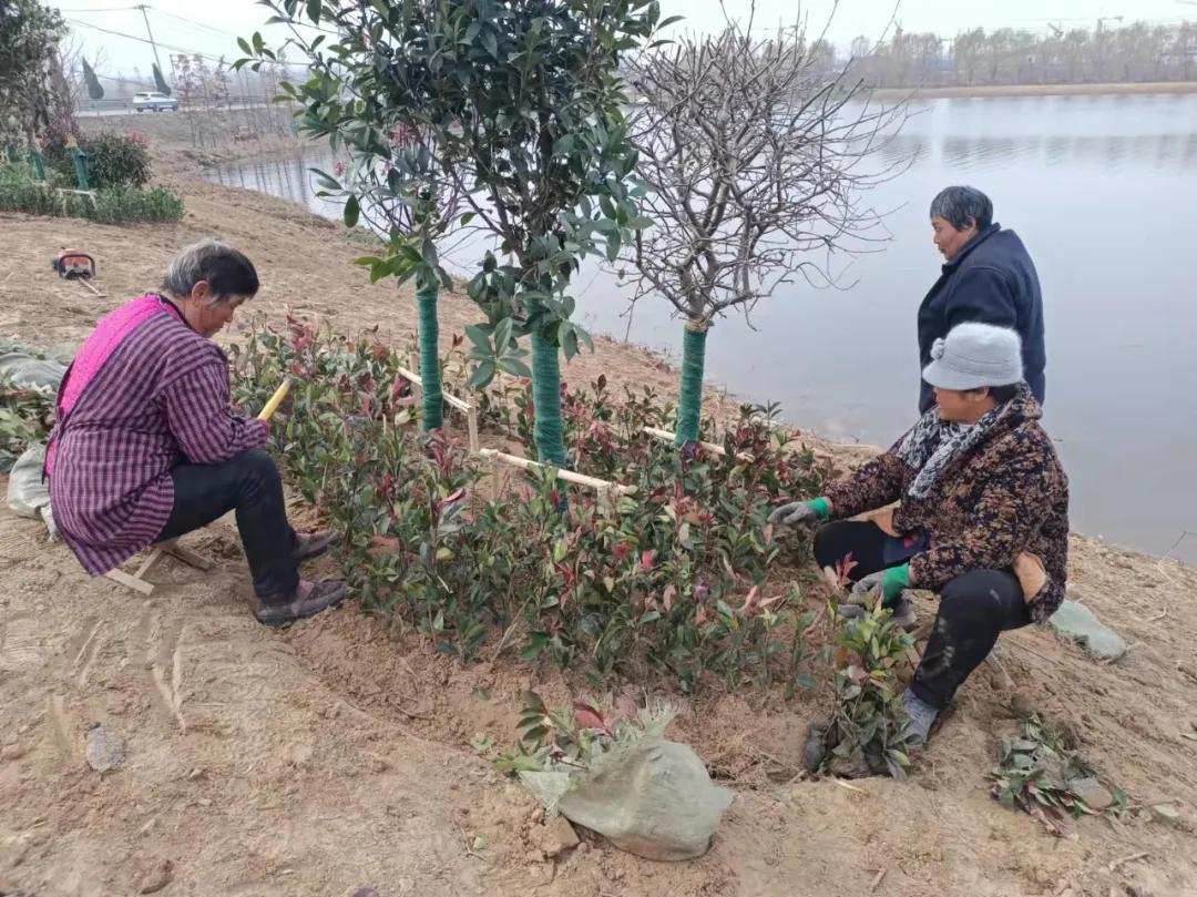 鹿楼镇新星项目，引领地区发展的强大引擎