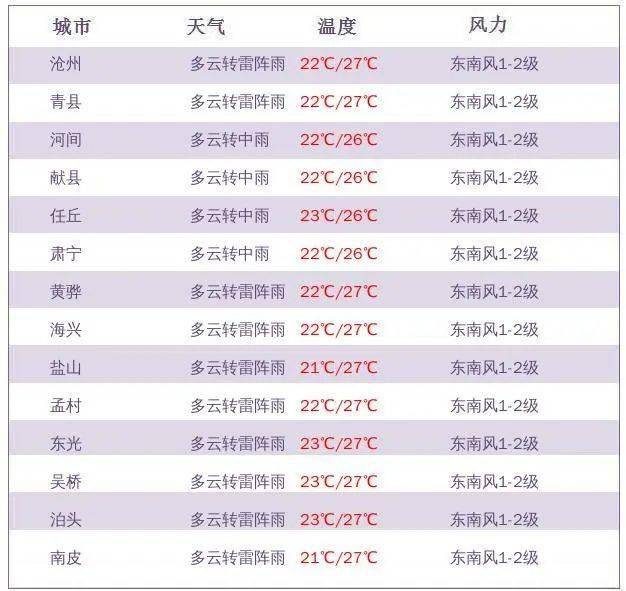 2024年12月13日 第78页