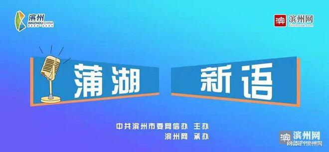 新澳门精准资料大全管家婆料,深入分析定义策略_顶级款63.21