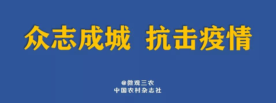 澳门今晚必开一肖,广泛的关注解释落实热议_工具版20.914