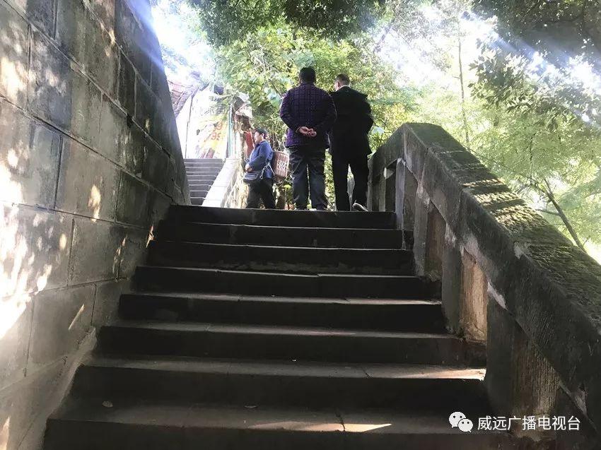 威远县图书馆最新动态，推动文化事业迈向繁荣新阶段