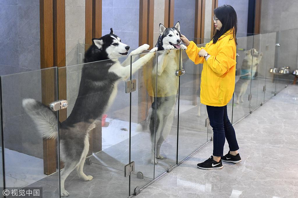 广州实时公交下载，便捷出行首选