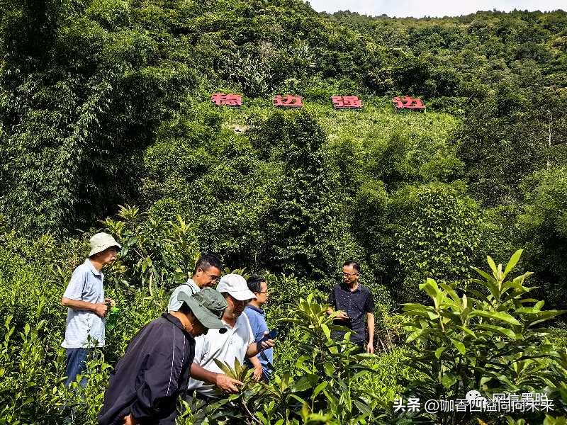 地东村全新发展规划揭晓