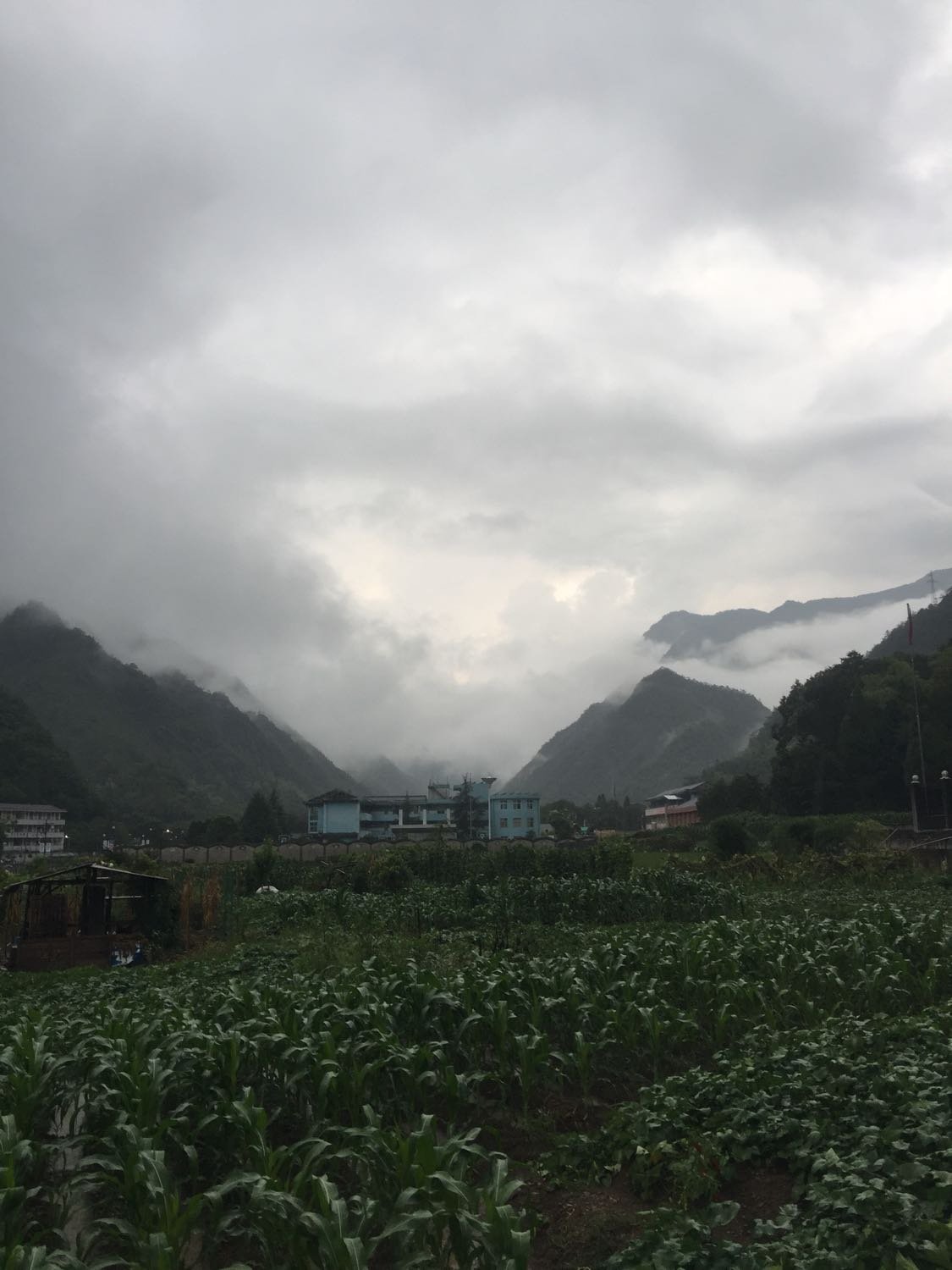 格龙村今日天气预报