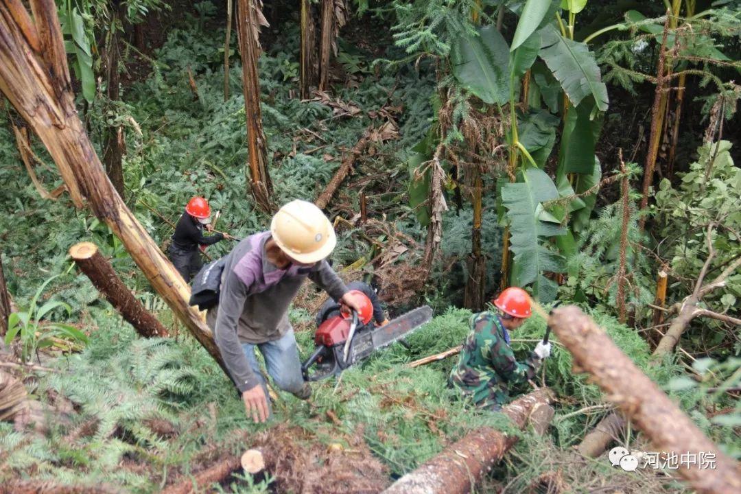 南丹县医疗保障局领导团队及职责概览