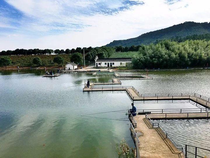 苗圃街道新领导团队引领下的新气象