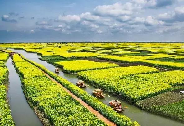 花滩林场交通升级助力地方经济发展最新报道